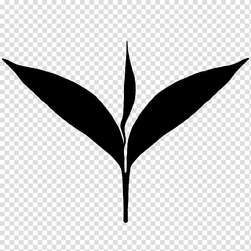 Tea Leaf Logo, Green Tea, Matcha, Matcha Green Tea, Tea Production In Sri Lanka, Two Leaves And A Bud, Blackandwhite, Plant transparent background PNG clipart