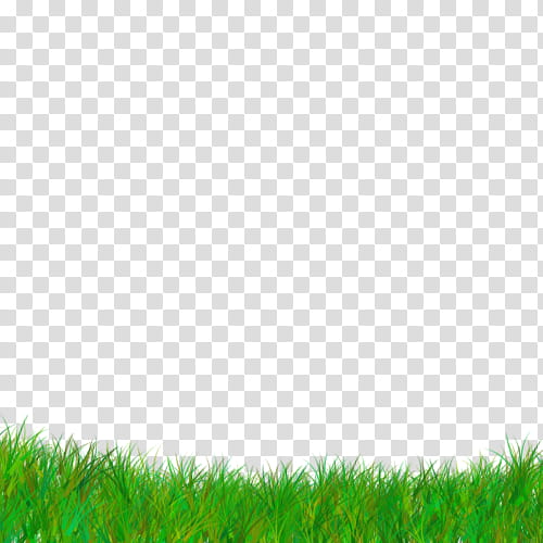 Green Grass, Lawn, Grassland, Grasses, Sky, Grass Family, Plant, Meadow transparent background PNG clipart