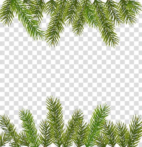 Xmas garland , green plant transparent background PNG clipart