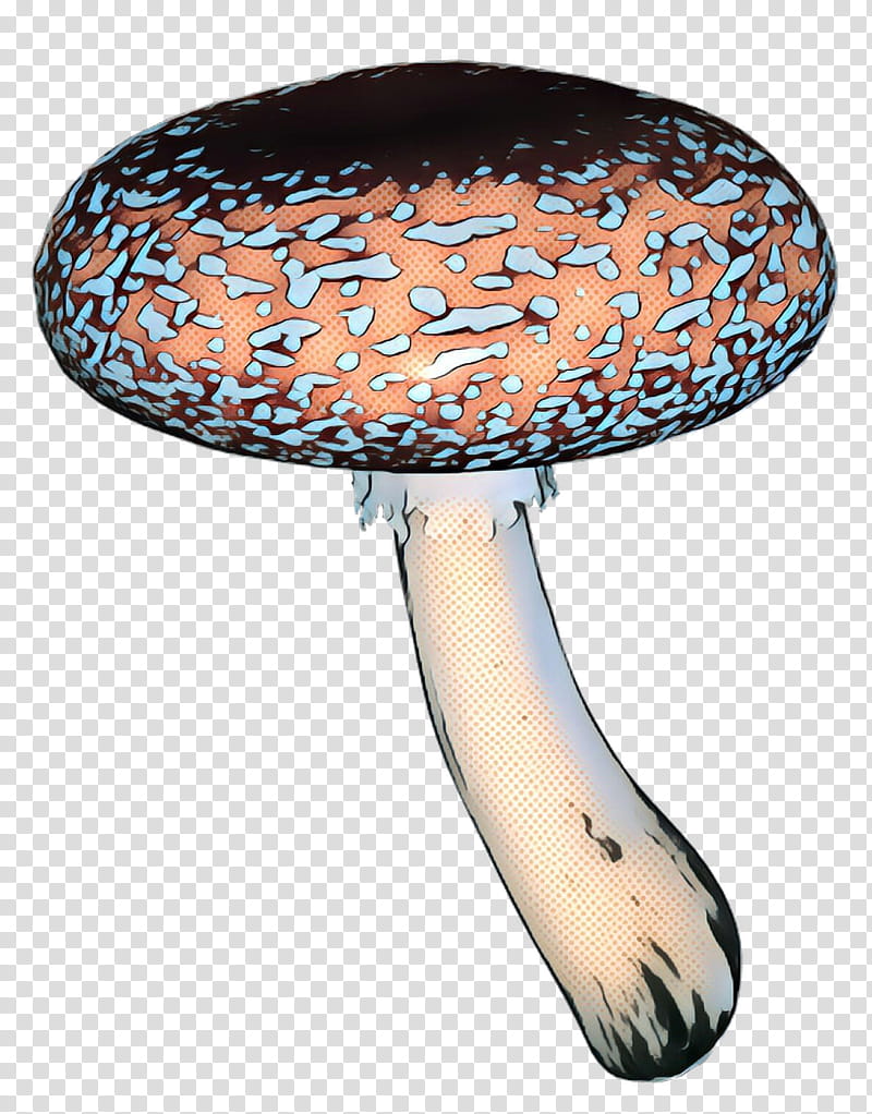 Mushroom, Brush, Fungus, Edible Mushroom, Agaricaceae transparent background PNG clipart