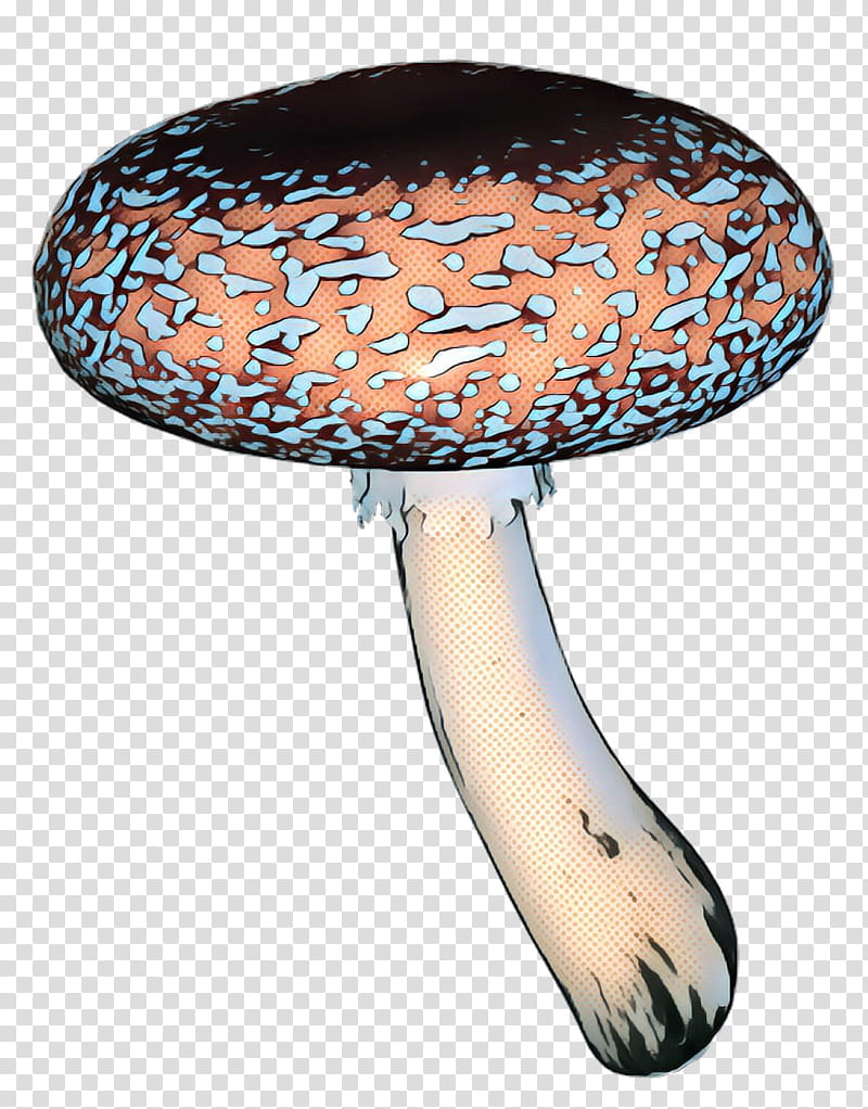 Mushroom, Brush, Fungus, Edible Mushroom, Agaricaceae transparent ...