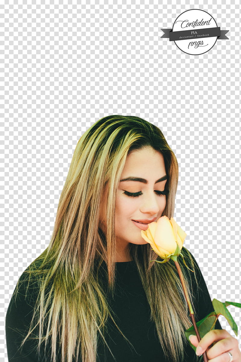 ALLY BROOKE , Ally Brooke () icon transparent background PNG clipart