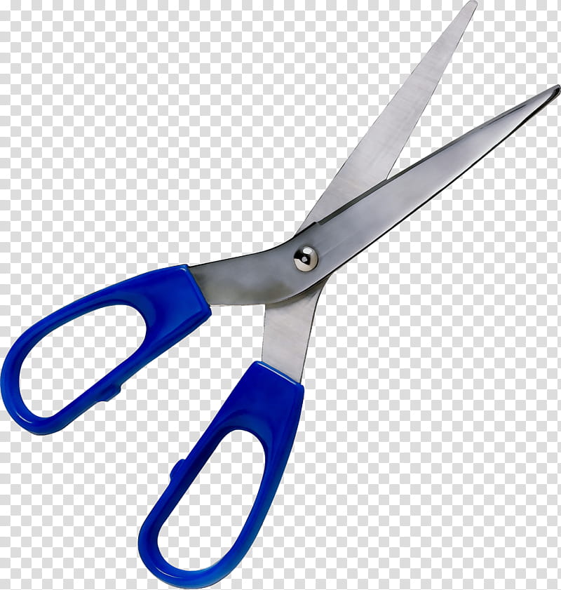 Scissors, Diagonal Pliers, Hair Shear, Technique, Genome Editing, Seminar, Lecturer, Angle transparent background PNG clipart