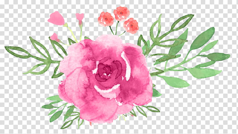 Flower Art Watercolor, Garden Roses, Floral Design, Flower Bouquet, Cabbage Rose, Peony, Wildflower, Cut Flowers transparent background PNG clipart