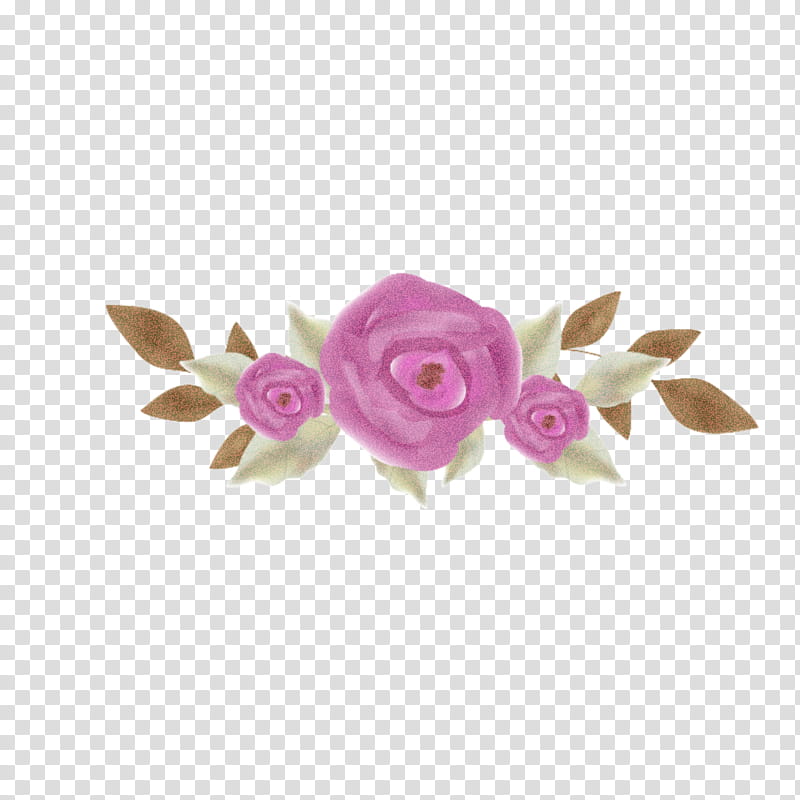 Rose, Pink, Violet, Petal, Flower, Plant, Rose Family, Beige transparent background PNG clipart