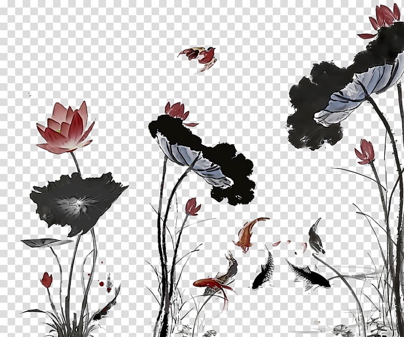 flower plant wildflower coquelicot petal transparent background PNG clipart