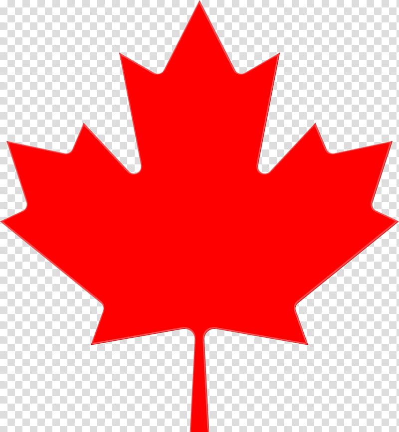 Canada Maple Leaf, Canada Day, Flag Of Canada, Ice Hockey, Hat, Red, Tree, Woody Plant transparent background PNG clipart