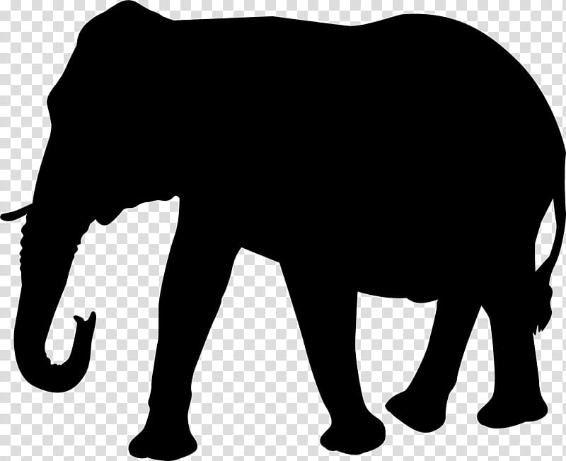Elephant, Silhouette, African Elephant, Drawing, Indian Elephant, White Elephant, Wildlife, Snout transparent background PNG clipart