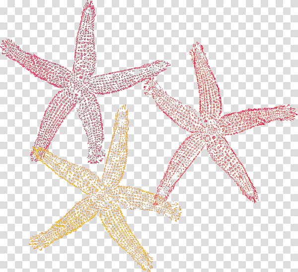Star Drawing, Starfish, Ochre Sea Star, Cartoon, Pink transparent background PNG clipart