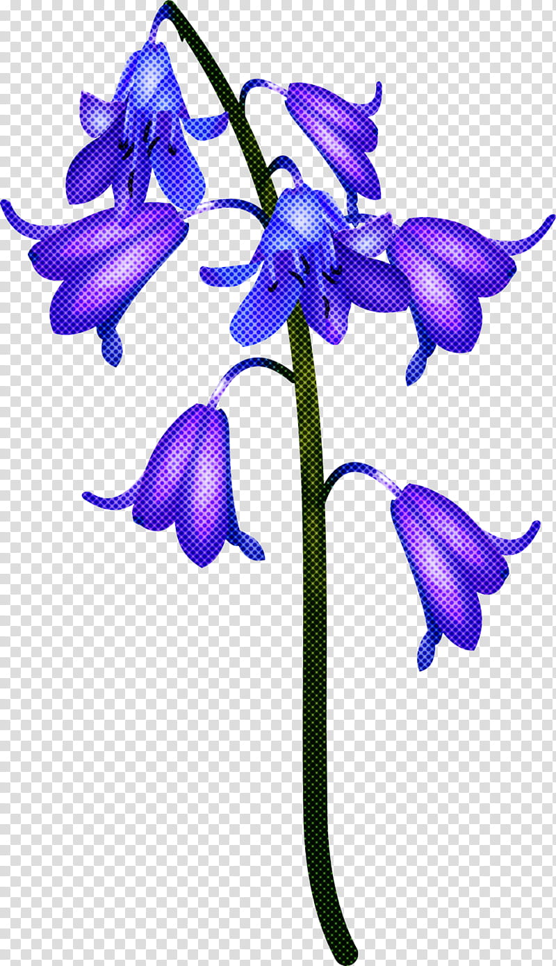 flower plant purple violet bellflower family, Pedicel, Petal transparent background PNG clipart