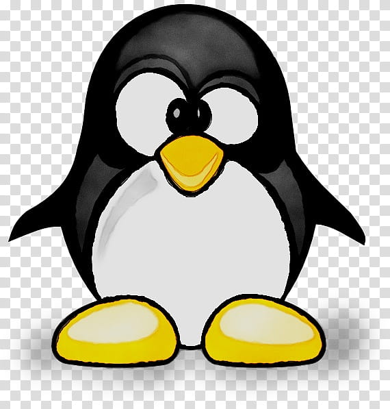 Penguin, Google Penguin, Google Panda, Google Search, Search Engine Optimization, Web Search Engine, Search Engine Indexing, Google Fred transparent background PNG clipart