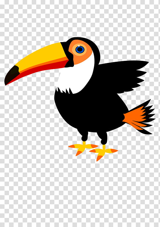 Hornbill Bird, Toucan, Toco Toucan, Whitethroated Toucan, Beak, Keelbilled Toucan, Piciformes, Puffin transparent background PNG clipart