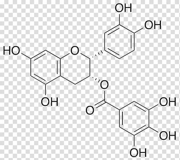 Green Circle, Green Tea, Epigallocatechin Gallate, Gallocatechol, Antioxidant, Epicatechin Gallate, Flavonoid, Flavan3ol transparent background PNG clipart