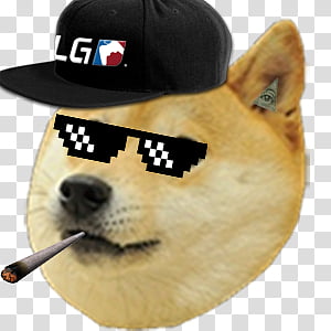Mlg Doge Transparent Background Png Clipart Hiclipart - sunglasses doge roblox doge meme