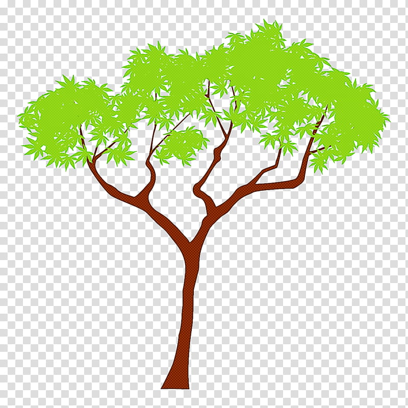 Plane, Maple Tree, Cartoon Tree, Green, Leaf, Plant, Woody Plant, Branch transparent background PNG clipart