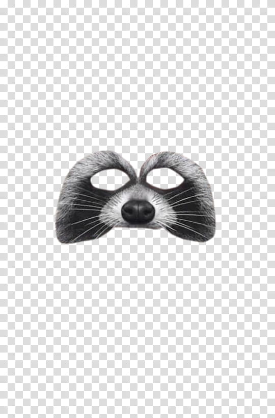 snapchat Filters Filtros o efectos de Snapchat, raccoon mask transparent background PNG clipart