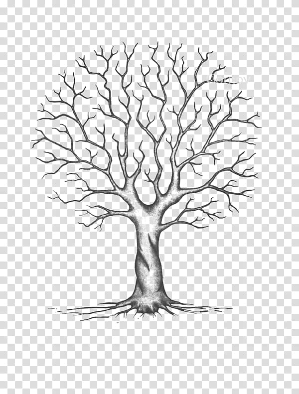 Dead Tree Without Leaves Vector Illustration Sketched. Stock Photo |  Royalty-Free | FreeImages
