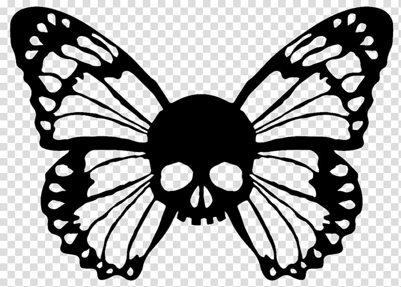moths and butterflies butterfly insect white black-and-white, Blackandwhite, Wing, Pollinator, Monochrome , Brushfooted Butterfly transparent background PNG clipart