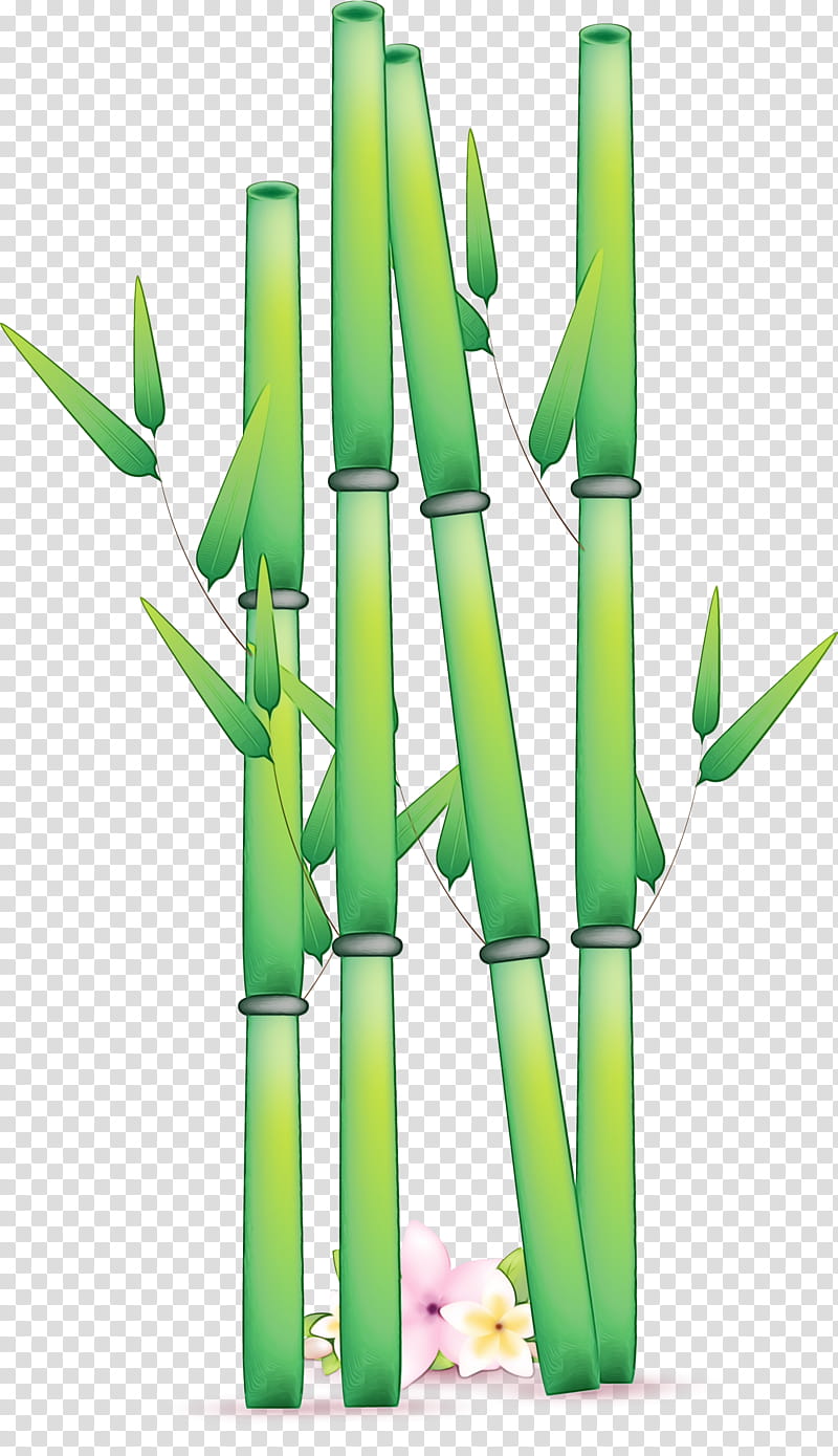 green bamboo plant stem plant grass family, Watercolor, Paint, Wet Ink, Bamboo Shoot, Vascular Plant transparent background PNG clipart