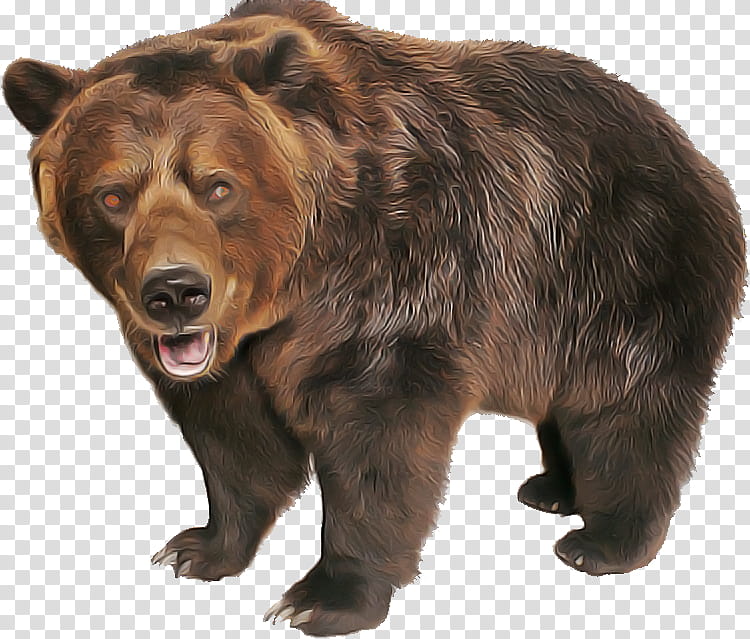 brown bear bear grizzly bear kodiak bear animal figure, American Black Bear, Fur, Wildlife transparent background PNG clipart