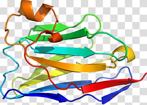 Line Line, Point, Area transparent background PNG clipart thumbnail