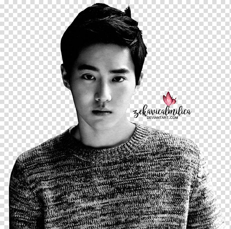 EXO Suho  Season Greetings transparent background PNG clipart