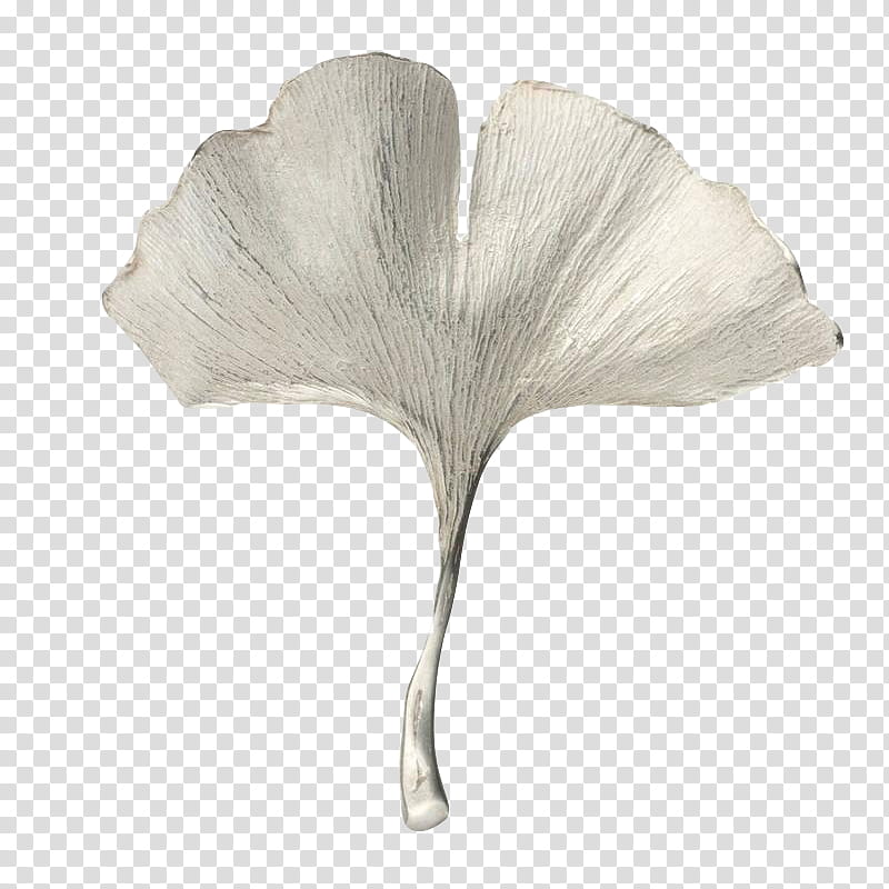 , white gingko biloba plant art transparent background PNG clipart