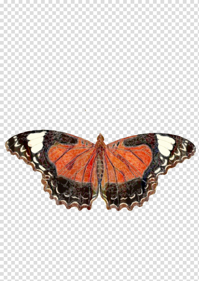 Monarch Butterfly, Insect, Lepidoptera, Moths And Butterflies, Cynthia Subgenus, Brushfooted Butterfly, Pollinator, Viceroy Butterfly transparent background PNG clipart