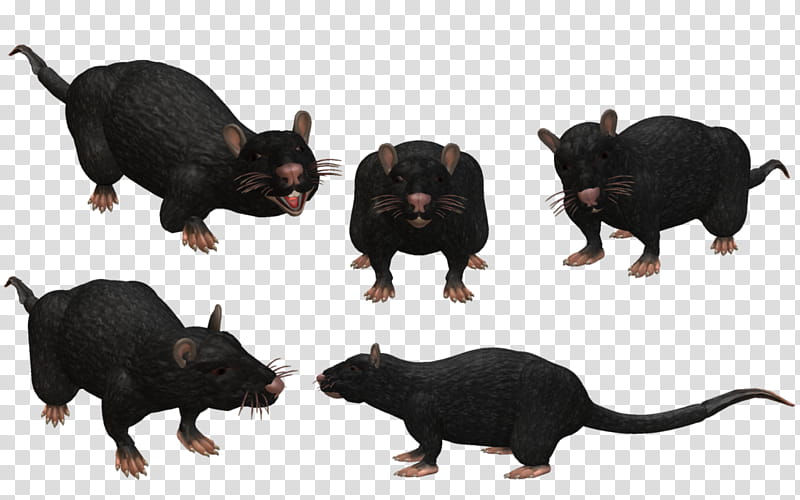 Spore Creature: Black Rat transparent background PNG clipart