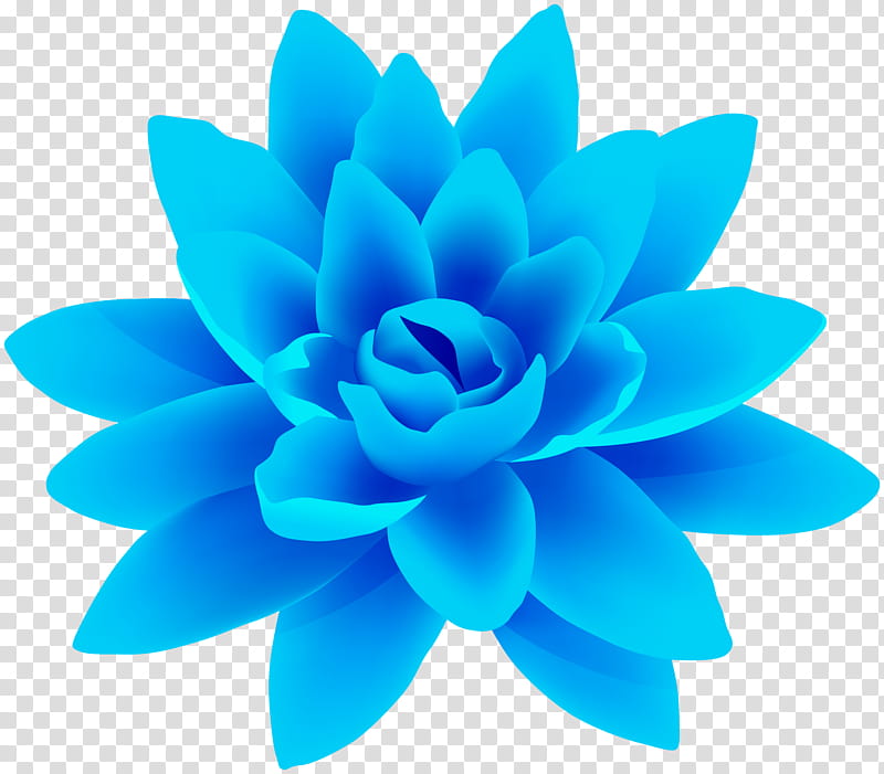 Lily Flower, Floral Design, Blue, Flower Bouquet, Petal, Blue Flower, Blue Rose, Red transparent background PNG clipart