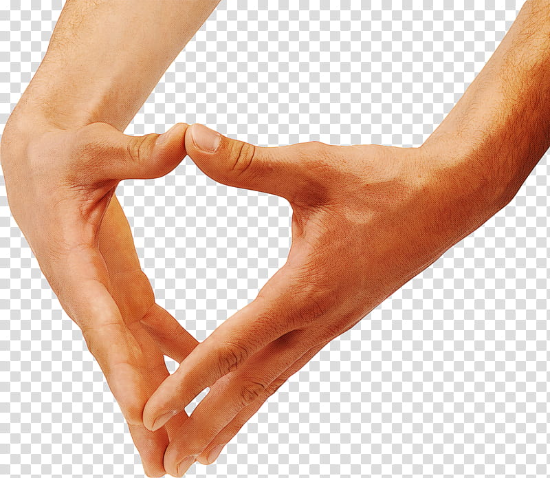 hand skin arm joint gesture, Finger, Muscle, Elbow, Human Body, Physiotherapist transparent background PNG clipart
