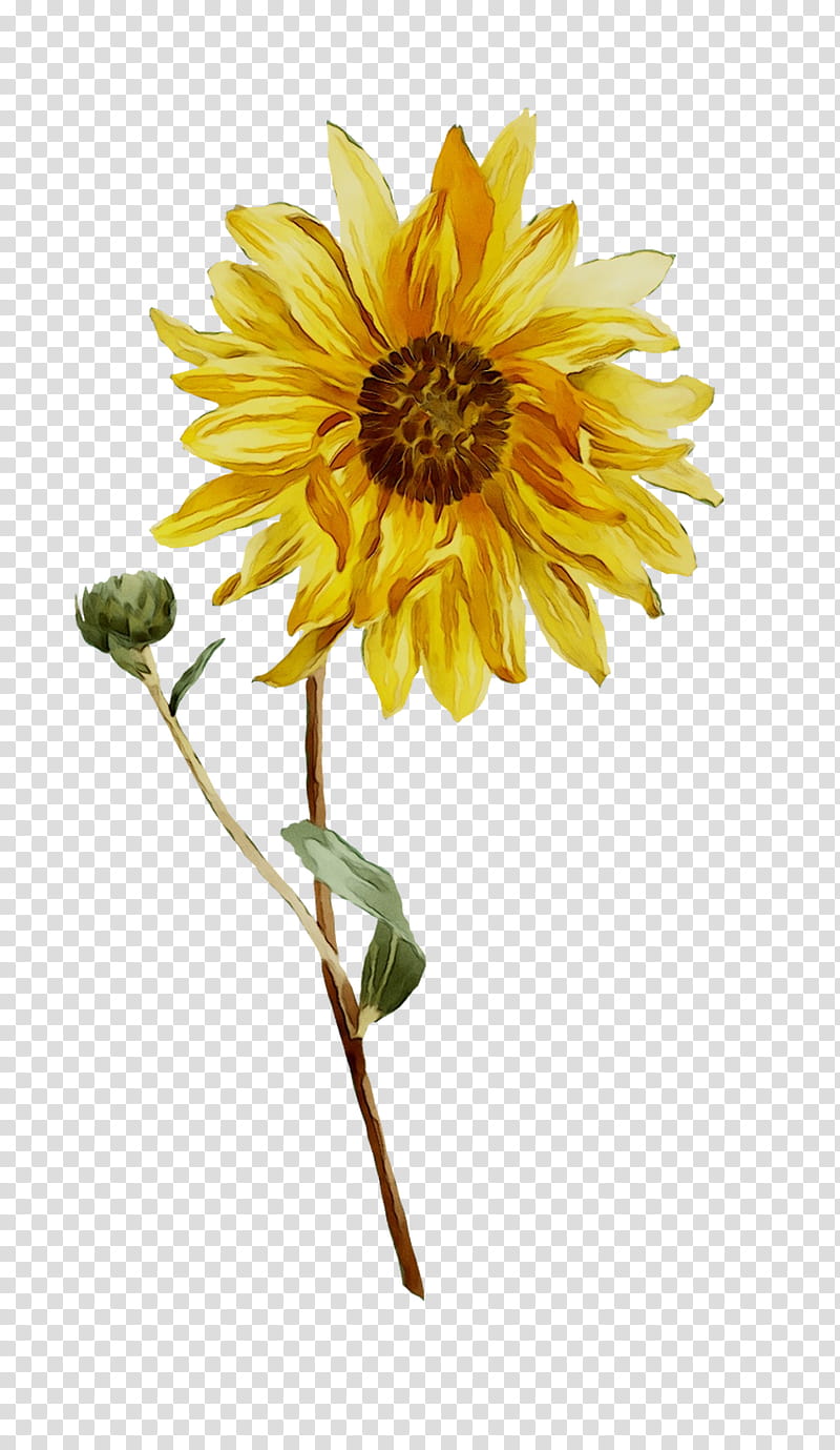 Bouquet Of Flowers Drawing, Vase, Floral Design, Common Sunflower, Flower Bouquet, Rose, Yellow, Plant transparent background PNG clipart