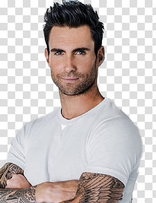 Adam Levine transparent background PNG clipart