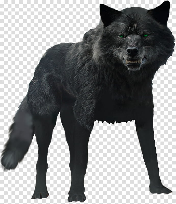 Thor Ragnarok Fenrir, black wolf graphic transparent background PNG clipart