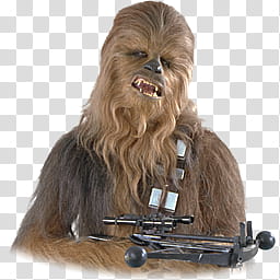 STAR WARS Characters and Droids Alpha Icons Chewbacca