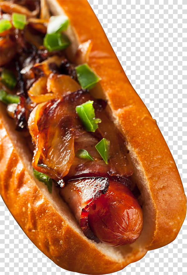 Dog Food, Hot Dog, Bacon, Sausage, Boerewors, Chili Dog, Dish, Bratwurst transparent background PNG clipart