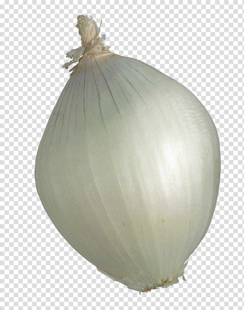 Onion, Yellow Onion, Elephant Garlic, Vegetable, Bulb, Dish, Tuber, Publication transparent background PNG clipart