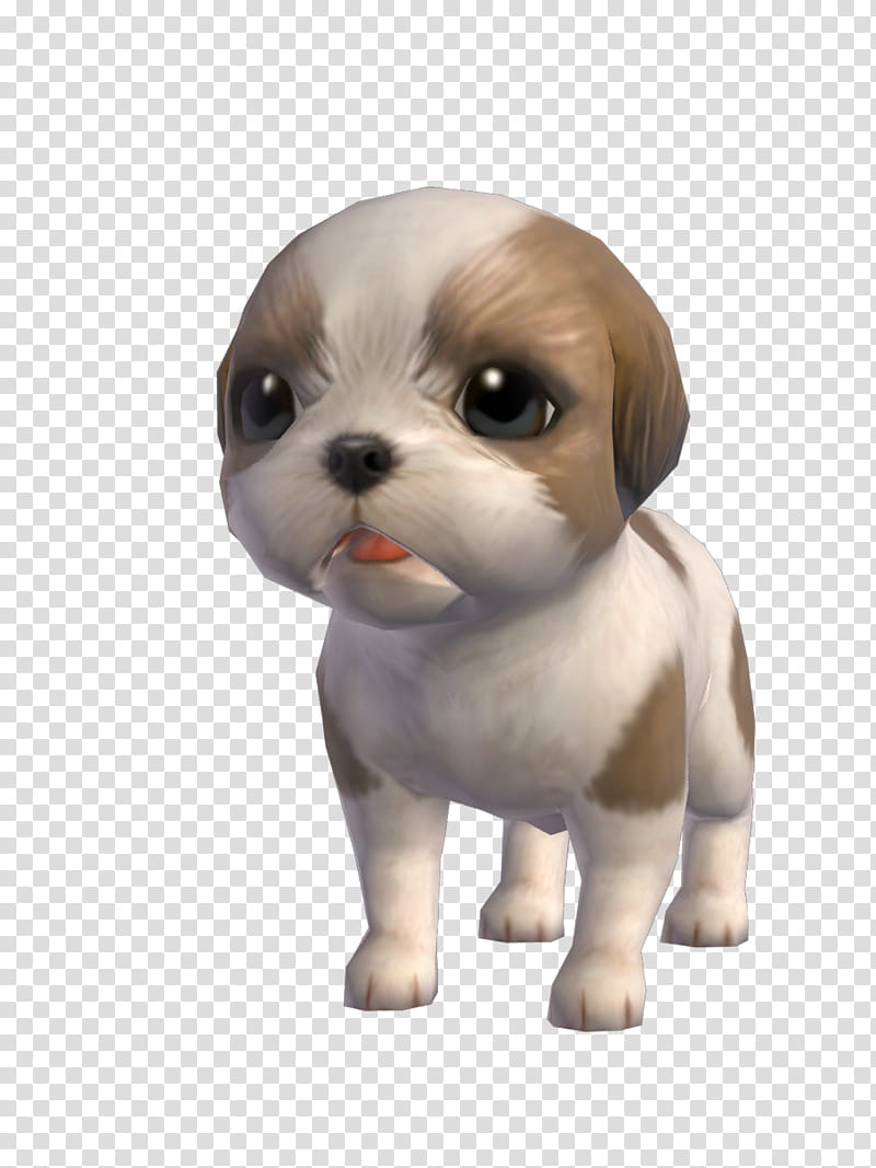 Apple, Shih Tzu, Puppy, Companion Dog, Toy Dog, App Store, Snout, Breed transparent background PNG clipart