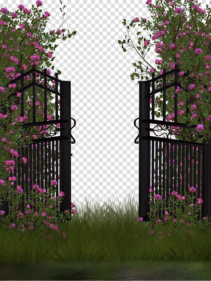 entrance to rose garden, opened black gate beside pink petaled flower transparent background PNG clipart