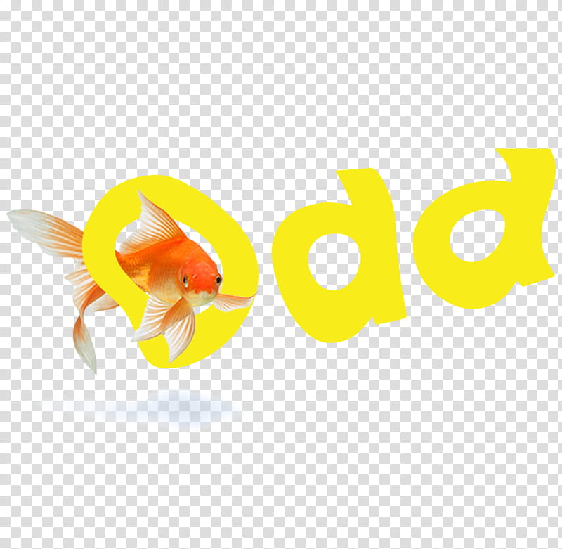 , goldfish illustration transparent background PNG clipart