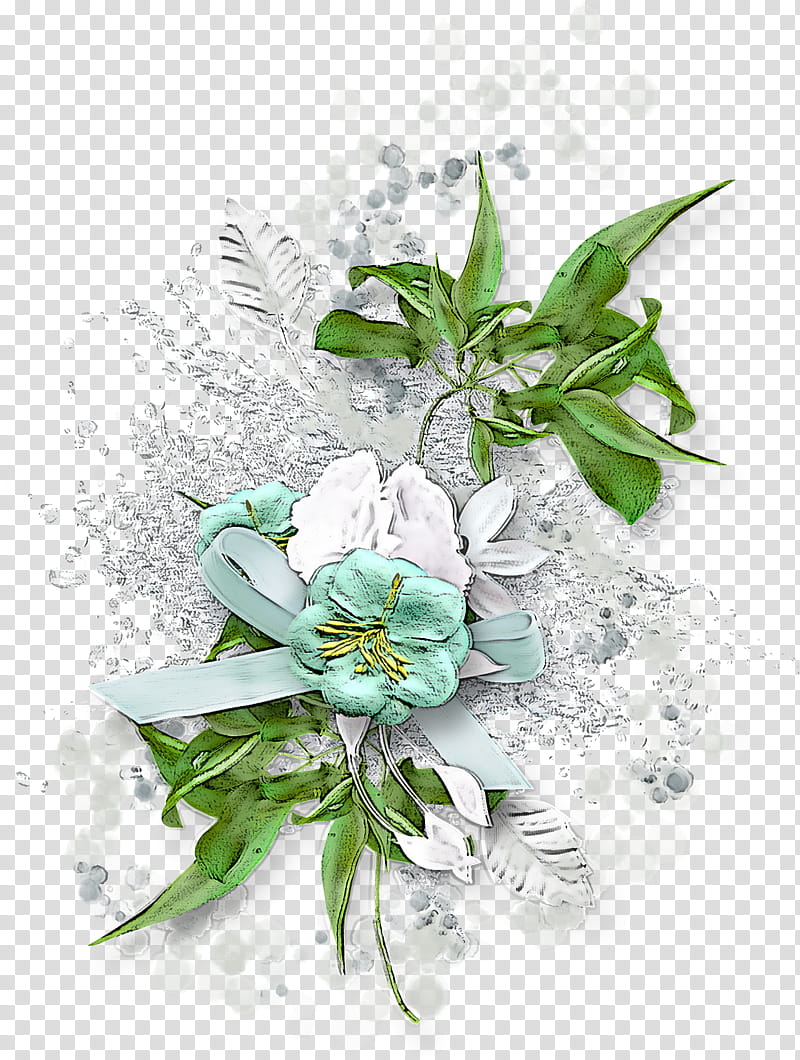 flower plant bouquet petal cut flowers, Edelweiss transparent background PNG clipart