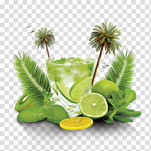 Palm Tree, Lemonade, Mojito, Cocktail, Juice, Caipirinha, Drink, Fizzy Drinks transparent background PNG clipart