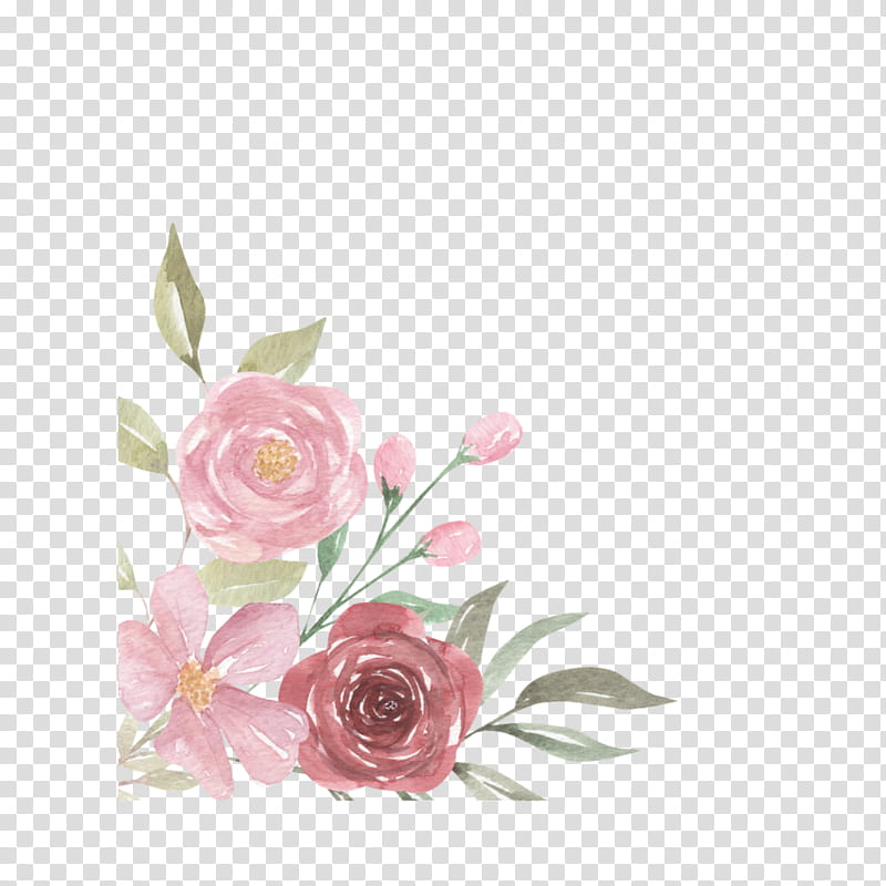 Watercolor Wreath, Garden Roses, Floral Design, Cabbage Rose, Watercolor Painting, Cut Flowers, Pink, Flower Bouquet transparent background PNG clipart