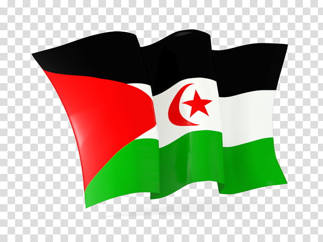 Flag, Flag Of Palestine, Flag Of Jordan, Flag Of El Salvador, Flag Of Jamaica, Flag Of Western Sahara, Flag Of Bolivia, Flag Of Hungary transparent background PNG clipart