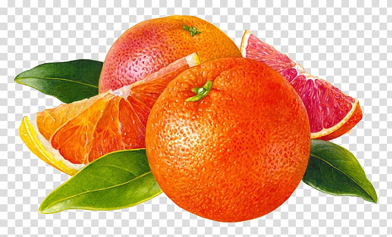 , two tangerines and two sliced tangerines transparent background PNG clipart