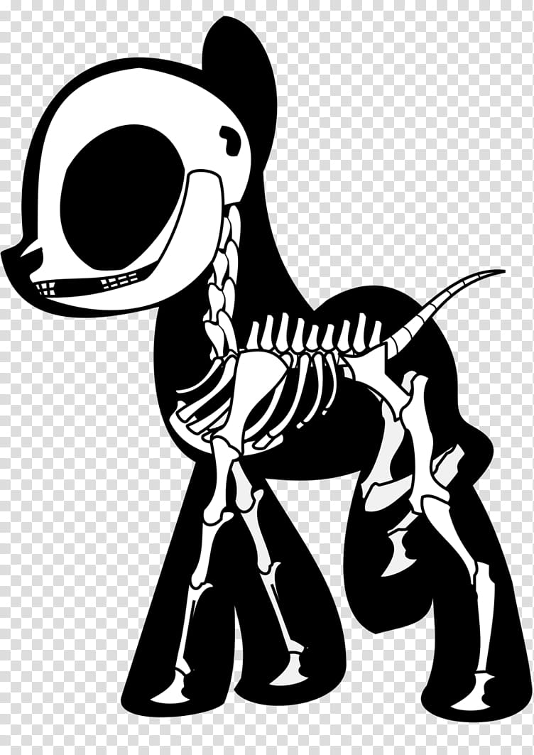 MLP Skeleton, skeleton illustration transparent background PNG clipart.