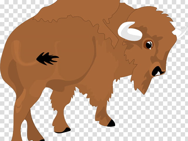 Goat, American Bison, Water Buffalo, Cattle, Horn, Cheyenne, Bull, Snout transparent background PNG clipart