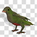 Spore creature Resplendent Quetzal female transparent background PNG clipart