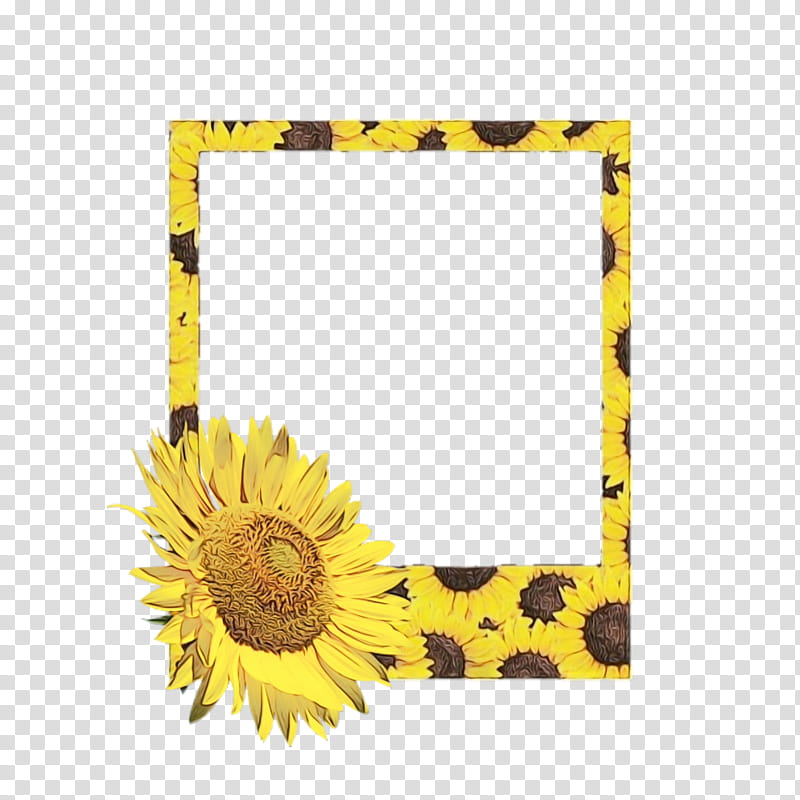 Background Flower Frame, Granite Belt Wine Tourism, Food, Frames, Yellow, Stranglehold, Sunflower, Bowl transparent background PNG clipart