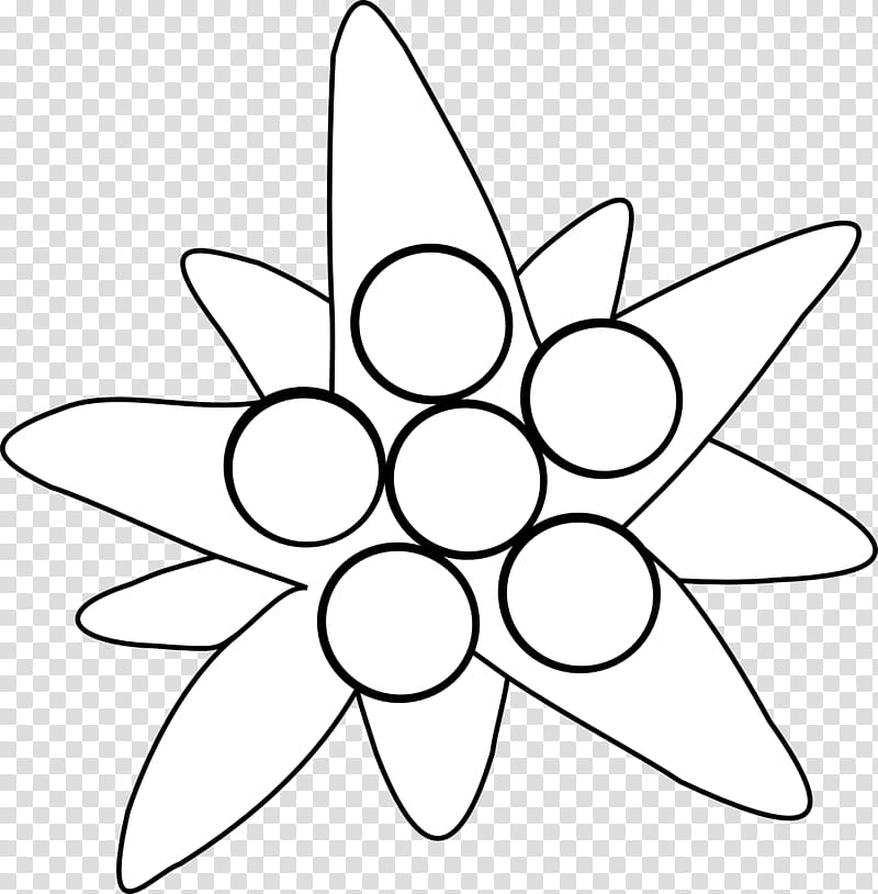 Black And White Flower, Edelweiss, Line Art, Black And White
, Symmetry, Leaf, Circle, Area transparent background PNG clipart
